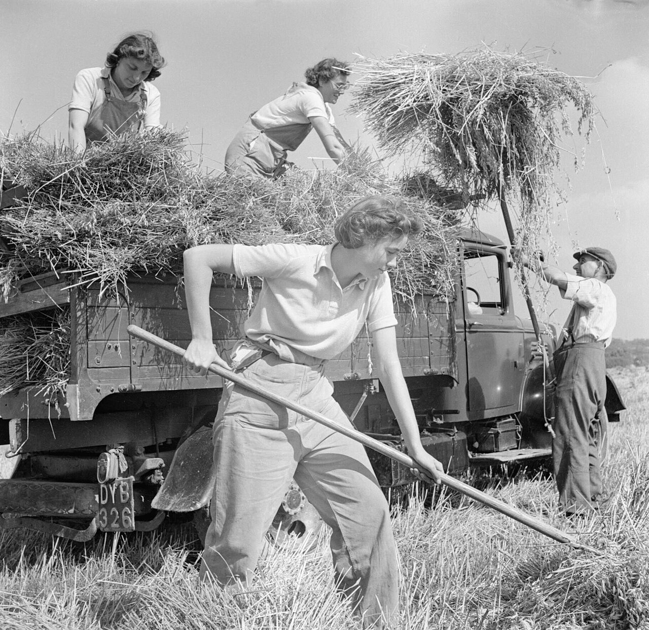 Фотография к заданию.jpg